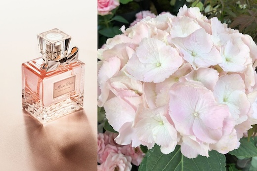 How to Wear Perfume for Women