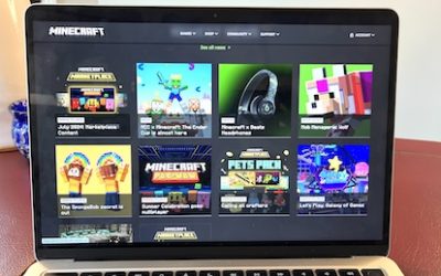 Manners and Minecraft for Etiquette Experts